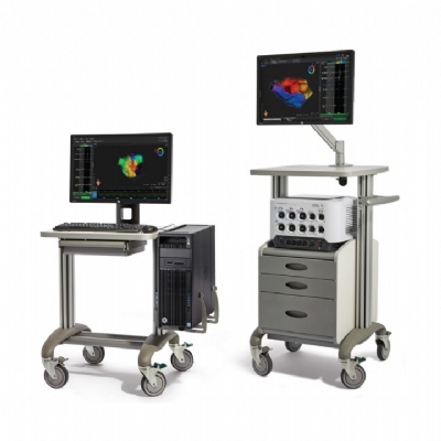 3D Mapping RHYTHMIA