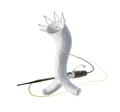 workshop stent graf endologix